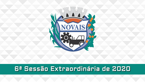 6ª Sessão Extraordinária de 2020